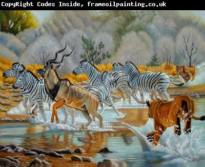 unknow artist Zebras 018